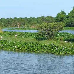 Kalametiya Bird Sanctuary - Tangalle