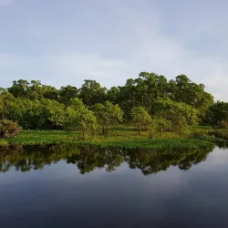 Kalametiya Bird Sanctuary - Tangalle
