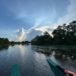 Kalametiya Bird Sanctuary - Tangalle