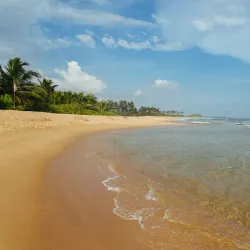 Medilla Beach - Tangalle