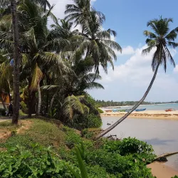 Medilla Beach - Tangalle