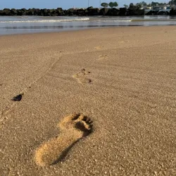 Medilla Beach - Tangalle