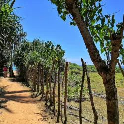 Rekawa Turtle Conservation Project - Tangalle