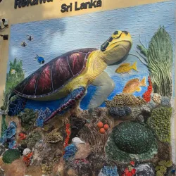 Rekawa Turtle Conservation Project - Tangalle