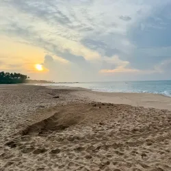 Rekawa Turtle Conservation Project - Tangalle