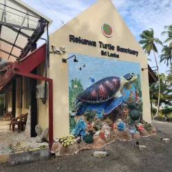 Rekawa Turtle Conservation Project - Tangalle