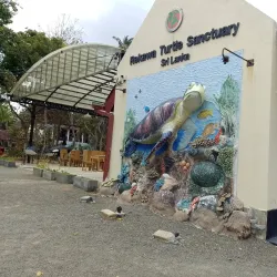 Rekawa Turtle Conservation Project - Tangalle