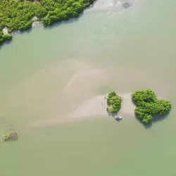 Negombo Lagoon - Wennappuwa