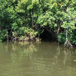 Negombo Lagoon - Wennappuwa