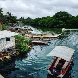 Negombo Lagoon - Wennappuwa