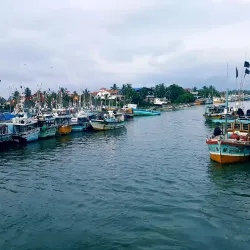 Negombo Lagoon - Wennappuwa