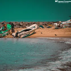 Wennappuwa Beach - Wennappuwa