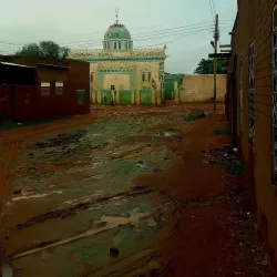 Blue Nile River (Nearby) - Al Manaqil