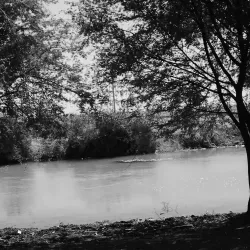 Blue Nile River (Nearby) - Al Manaqil