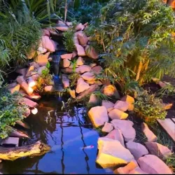 Natural Surroundings and Wildlife - Al Manaqil