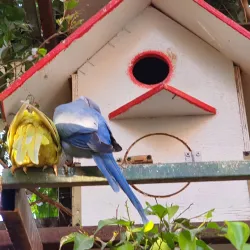 Natural Surroundings and Wildlife - Al Manaqil