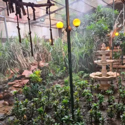 Natural Surroundings and Wildlife - Al Manaqil