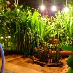 Natural Surroundings and Wildlife - Al Manaqil