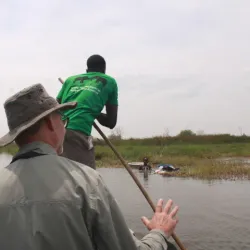 Local Wildlife Observation - ALkamleen