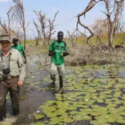 Local Wildlife Observation - ALkamleen