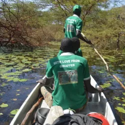 Local Wildlife Observation - ALkamleen