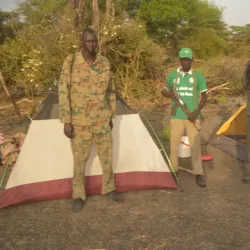 Local Wildlife Observation - ALkamleen