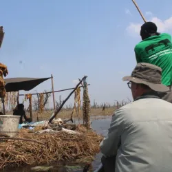 Local Wildlife Observation - ALkamleen