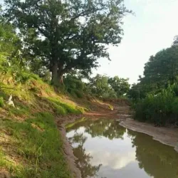 Nile River Nearby - ALkamleen