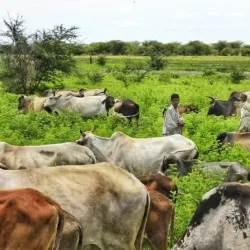 Nile River Nearby - ALkamleen