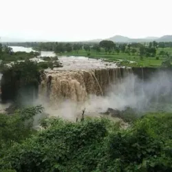 Nile River Nearby - ALkamleen