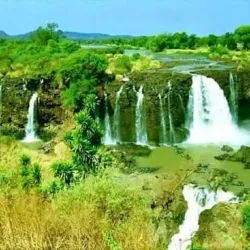 Nile River Nearby - ALkamleen