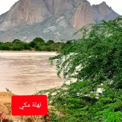 Gash River - Kassala