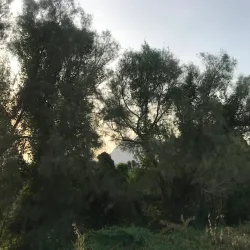 Kassala Cultural Center - Kassala