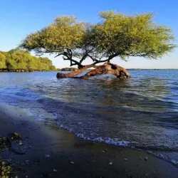 Kassala Old Town - Kassala
