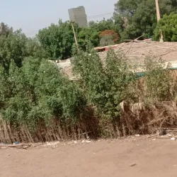 Tuti Island - Omdurman