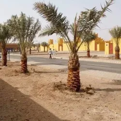 Nile River (Nearby) - Sinjah