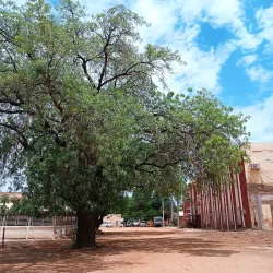 Agricultural Research Stations - Wad Madani