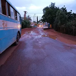 Agricultural Research Stations - Wad Madani