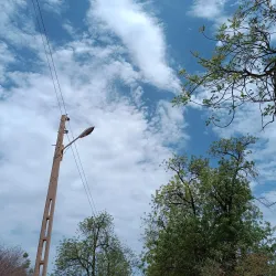 Agricultural Research Stations - Wad Madani