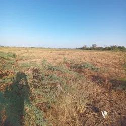 Agricultural Research Stations - Wad Madani