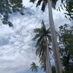 Agricultural Research Stations - Wad Madani