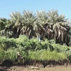 Al-Mogran Family Park - Wad Madani