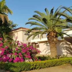 Blue Nile River - Wad Madani