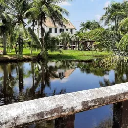 Commewijne River - Alkmaar