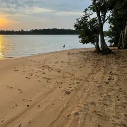 Jodensavanne - Alkmaar