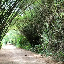 Peperpot Nature Park - Alkmaar