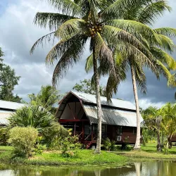 Plantation Frederiksdorp - Alkmaar