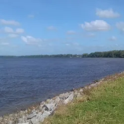 Tamanredjo - Alkmaar