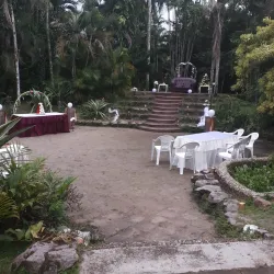 Batavia Botanical Garden - Batavia