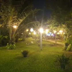 Batavia Botanical Garden - Batavia